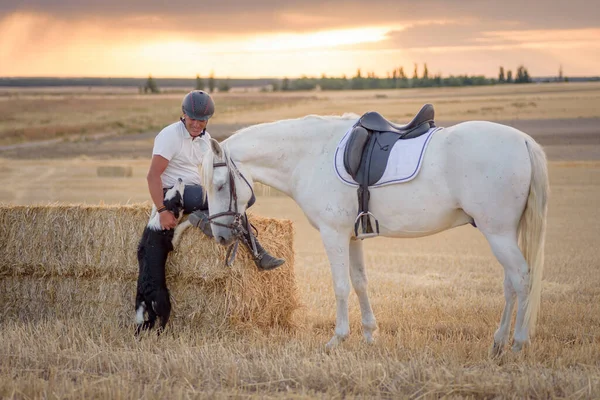Man Sitting Straw Bundle His Saddled Horse Dog Country Scene — Stock Photo, Image
