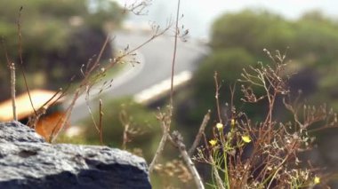 görünüm için bir küçük dağ yolu, arka plan bulanık