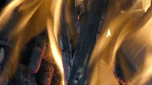 夜のロマンチックな焚き火 — ストック動画