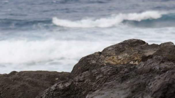 Felsige Küste Hintergrund Einströmende Wellen — Stockvideo