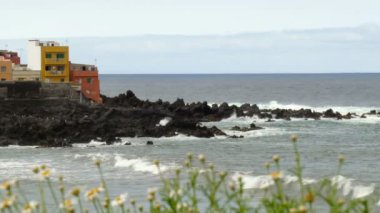 gelen dalgalar çökmesini kır çiçekleri tarafından çerçeveli kayalık sahil şeridi üzerinde