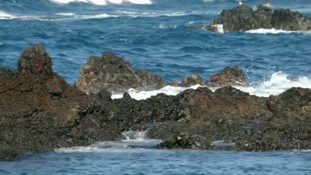 大まかな岩の多い海岸に打ち寄せる波 — ストック動画