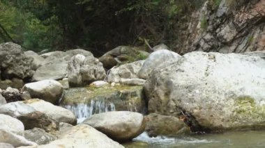 Dağlarda küçük bir nehir