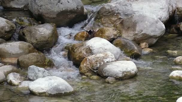 Gebirgsbach Mit Felsen Und Wasserfall — Stockvideo