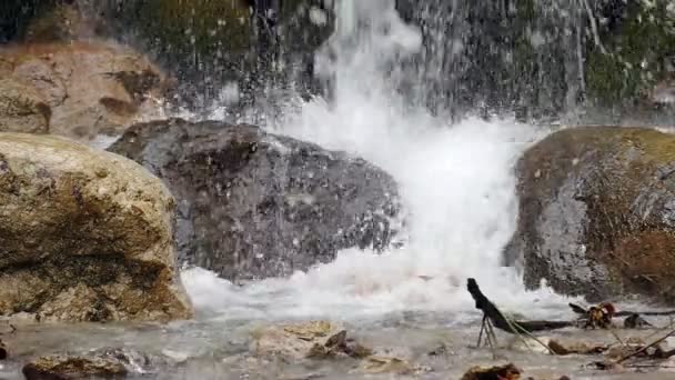 Bergbeek Met Rotsen Waterval — Stockvideo