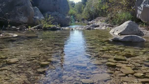 Arroyo Montaña Con Agua Clara Fresca Fría — Vídeo de stock