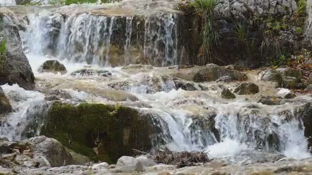 Fließendes Wasser Eines Gebirgsbaches Mit Wasserfall — Stockvideo