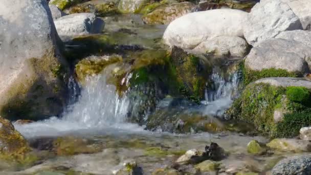 Τρεχούμενο Νερό Από Ένα Ρυάκι Στο Βουνό — Αρχείο Βίντεο