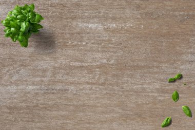 Fesleğen, nane, mutfak yaprakları temiz zemin üzerine