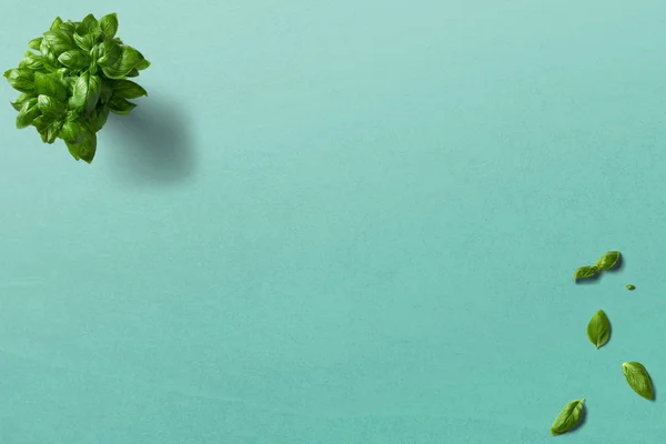 Fesleğen, nane, mutfak yaprakları temiz zemin üzerine