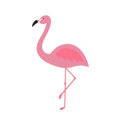 pembe flamingo tropikal egzotik kuş simge vektör yaz.