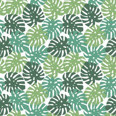 Monstera Turkuaz, açık yeşil ve koyu yeşil yaprakları tropikal yaz cennet desen beyaz arka plan sorunsuz vektör.
