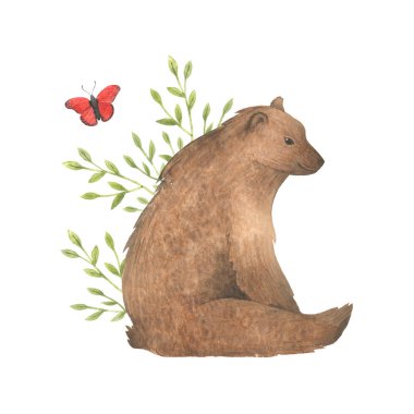 Suluboya el çizilmiş hayvan. Vahşi hayvan ayı. Kelebek