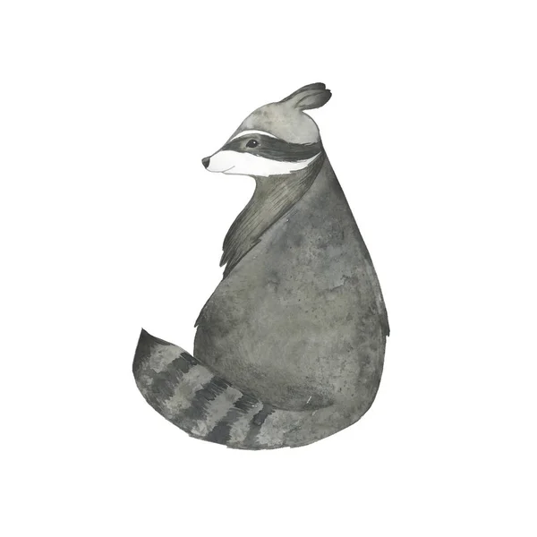 수채화 손으로 그려진된 동물입니다 너구리 — 스톡 사진
