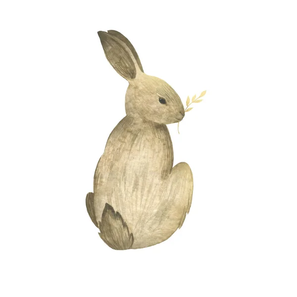 Aquarell Handgezeichnetes Tier Kaninchen Wildtier — Stockfoto