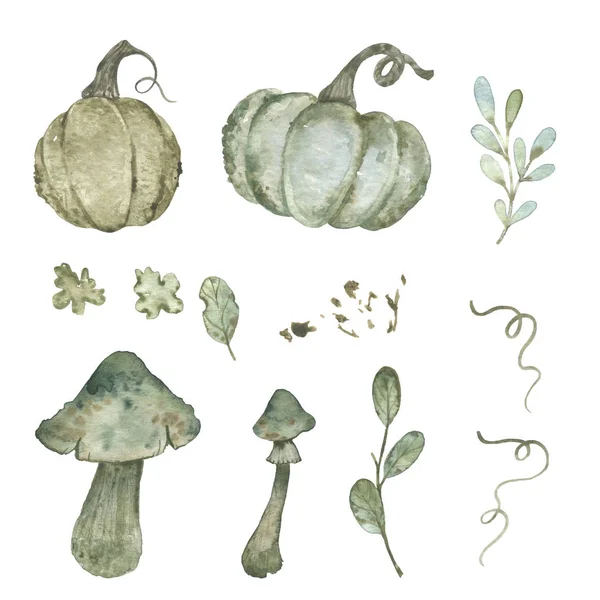 Acquerello Autunno Elementi Naturali Illustrazione Disegnata Mano Zucca Funghi — Foto Stock