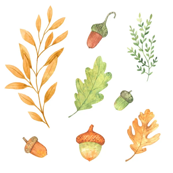 Aquarell Herbst Natur Elemente Handgezeichnete Illustration — Stockfoto