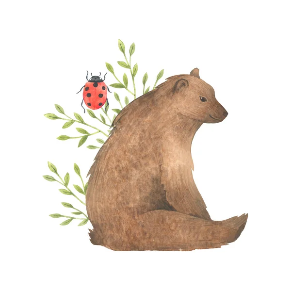 Akvarelu Ručně Tažené Zvíře Medvěd Divoké Zvíře Motýl Léto — Stock fotografie