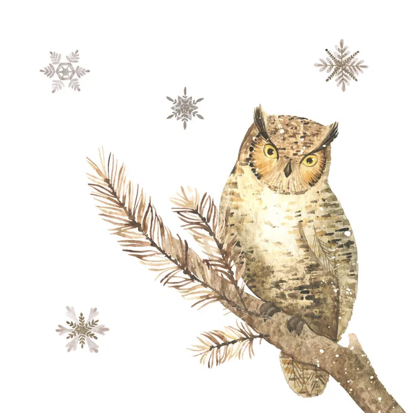水彩画寒假插图在白色背景 动物猫头鹰 完美的卡 明信片 生日派对 — 图库照片