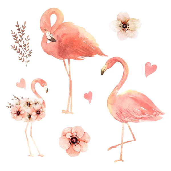 Living coral flamingos in love. Watercolor Happy Valentine\'s day greeting card. Hand drawn. Pink