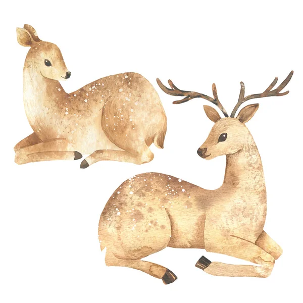 Cerf Aquarelle Animal Animal Forestier Sauvage — Photo