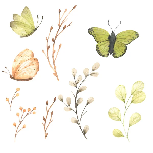 Aquarell Blume Zweige Schmetterling Frühlings Oder Sommerdesign Für Einladungen Hochzeiten — Stockfoto