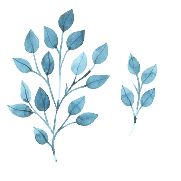 Aquarell Zweige Blätter Blatt — Stockfoto