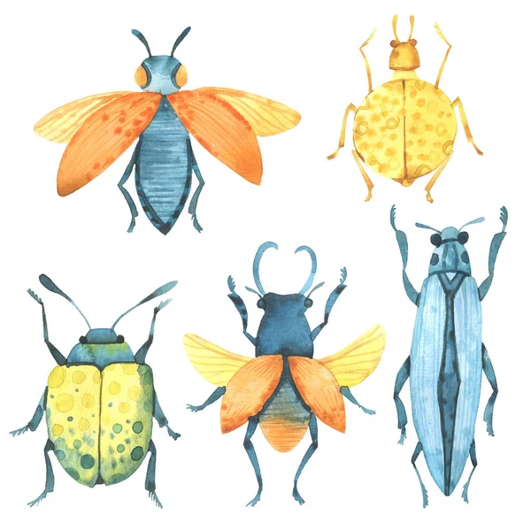 Escarabajos Acuarela Naturaleza Vuela —  Fotos de Stock