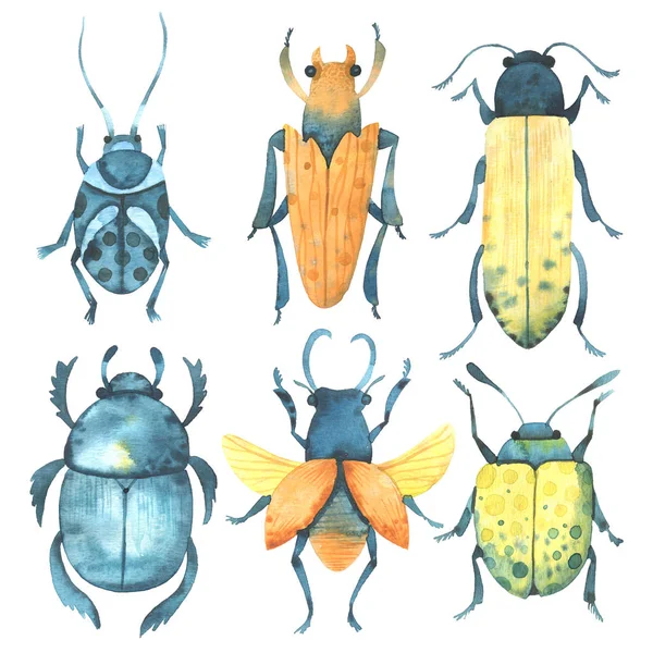 Suluboya böcekleri. Doğa. Sinek