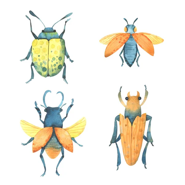Escarabajos Amarillos Acuarela Naturaleza —  Fotos de Stock