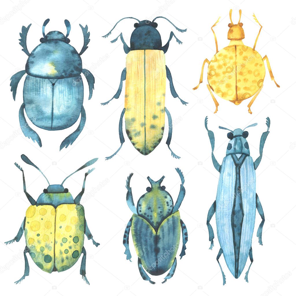 Watercolor beetles. Nature. Fly