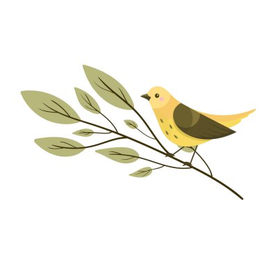 Vektör sevimli renkli kuş beyaz arka plan üzerinde izole dalı üzerinde. İlkbahar, yaz.