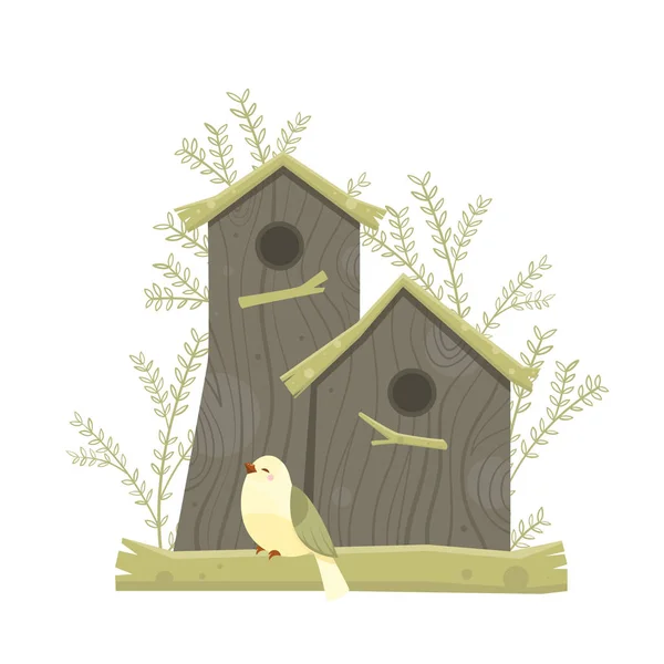 Olorful Vector Birdhouses Söta Fåglar Och Bon Illustrationer Hand Dras — Stock vektor