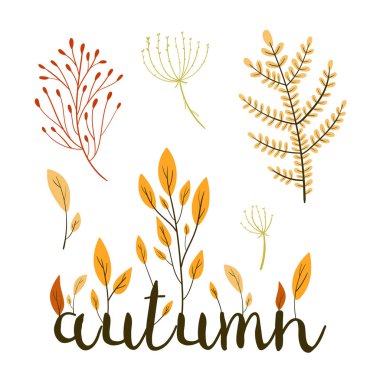 Çeviri: nazo82 Shagrathian