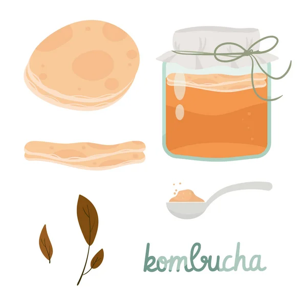 Kombucha —  Vetores de Stock