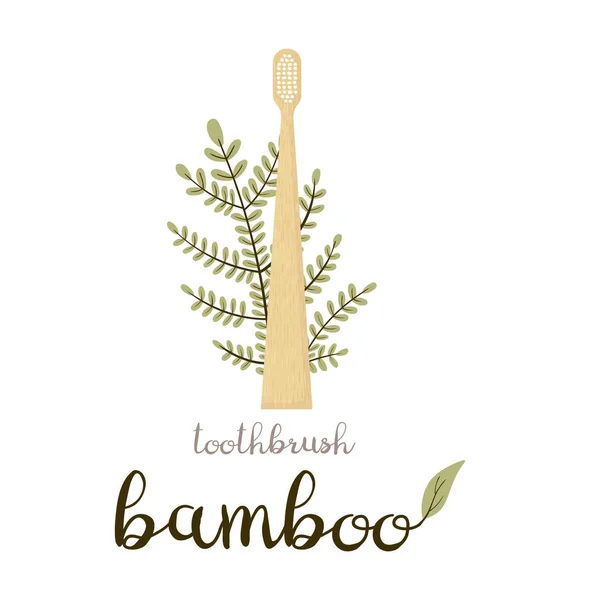Escova Dentes Bambu Cuidado Com Diferentes Tipos Cerdas Vai Verde —  Vetores de Stock