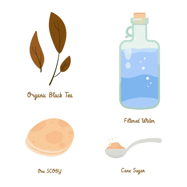 Kombucha — Vector de stock