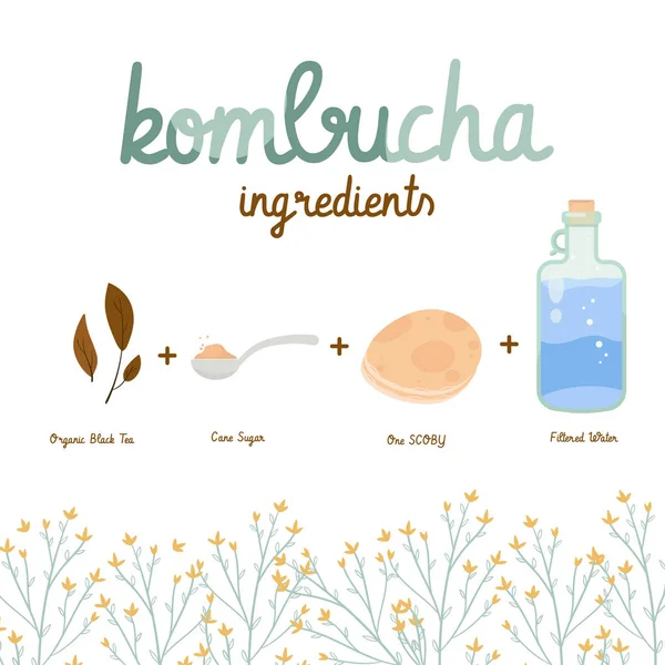 Kombucha 2. — Image vectorielle