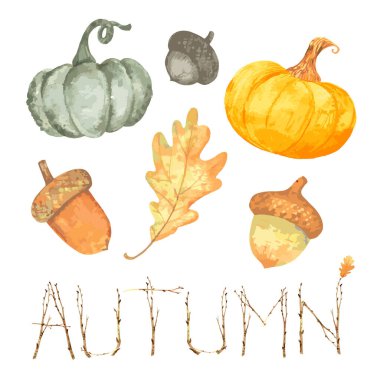 Suluboya sonbahar seti meşe yaprağı kabağı. Vektör illüstrasyonu