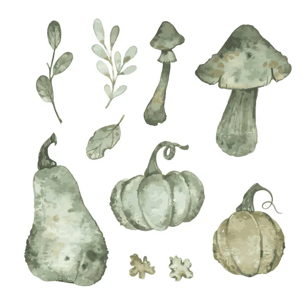 Aquarell Herbst Blatt Kürbis Und Pilz Vektorillustration — Stockvektor
