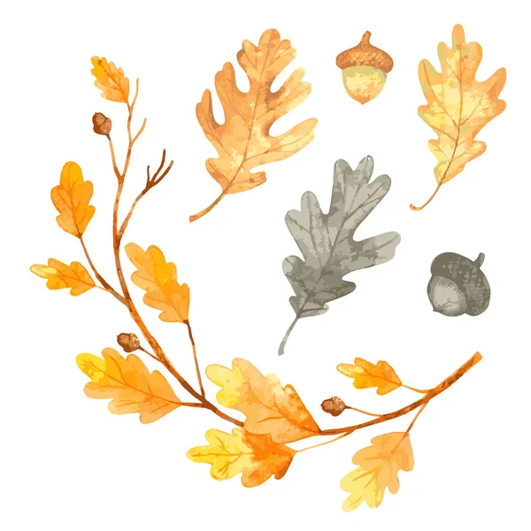 Aquarell Herbst Blatt Eiche Set Vorhanden Vektorillustration — Stockvektor