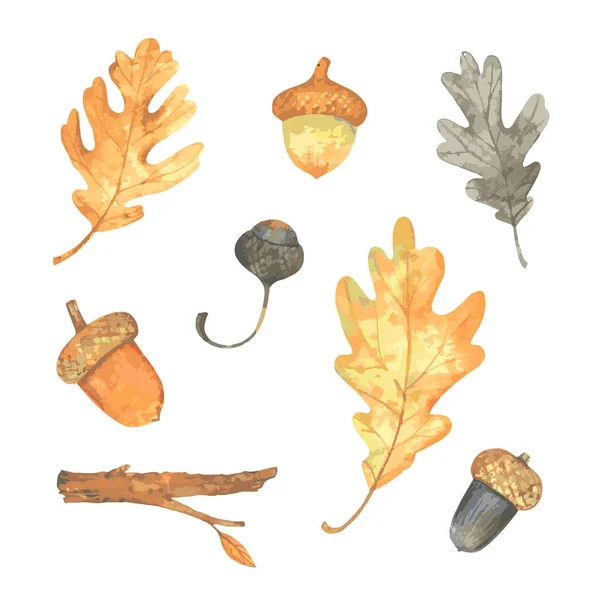 Aquarell Herbst Blatt Eiche Set Vorhanden Vektorillustration — Stockvektor