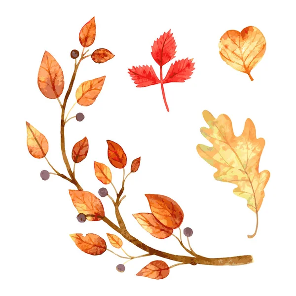 Set Hojas Otoño Acuarela Hojas Ilustración Vectorial — Vector de stock