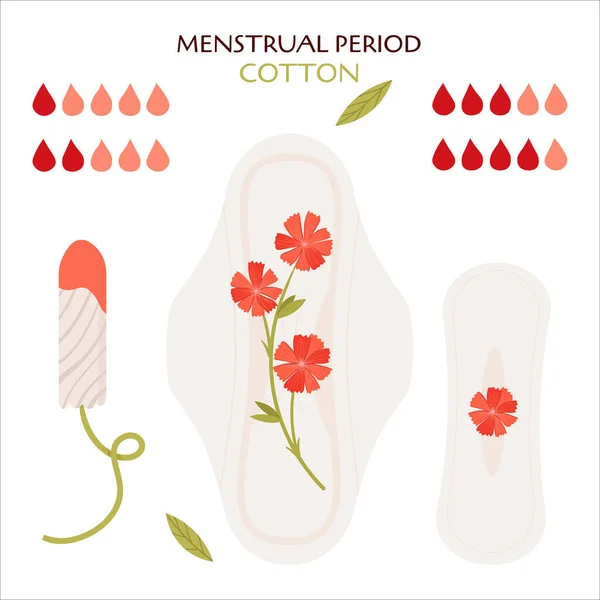 Período Menstrual Sem Desperdício Conjunto Plano Vetores Com Produtos Ecológicos —  Vetores de Stock
