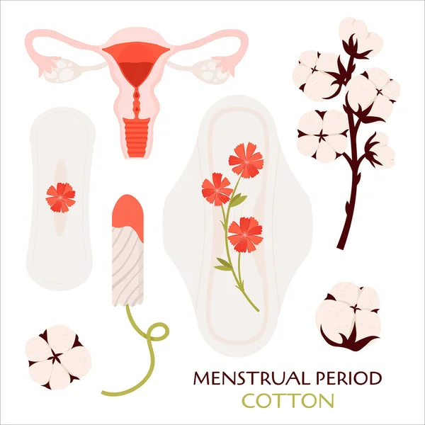 Período Menstrual Sem Desperdício Órgão Útero Mulher Conjunto Plano Vetorial —  Vetores de Stock