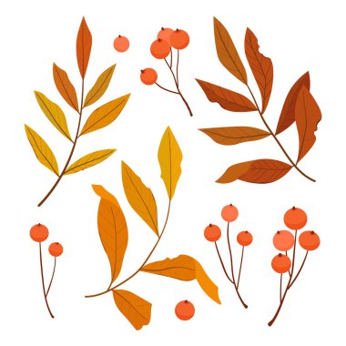 Sonbahar renkli yapraklar seti. Vektör illüstrasyonu.