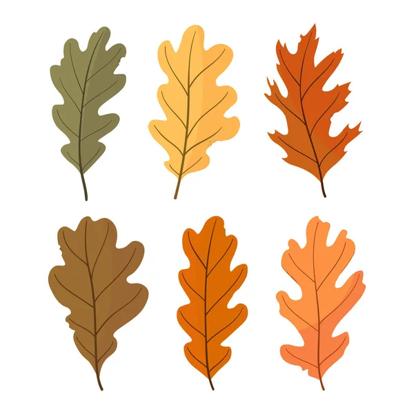 Otoño Conjunto Hojas Coloridas Ilustración Vectorial — Vector de stock