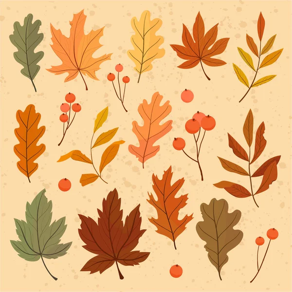 Jesienny Zestaw Kolorowych Liści Ilustracja Wektora — Wektor stockowy