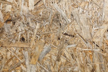 Görüntü dokusu ve arkaplanı