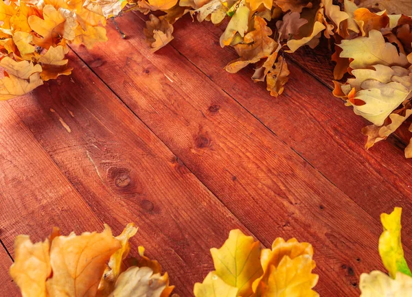 Herbstblätter Und Eicheln Auf Rustikalem Holzgrund Herbst Hintergrund Mit Kopierraum — Stockfoto